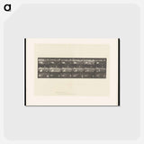 アートポストカード-Swans and Storks
 - エドワード マイブリッジ Postcard.