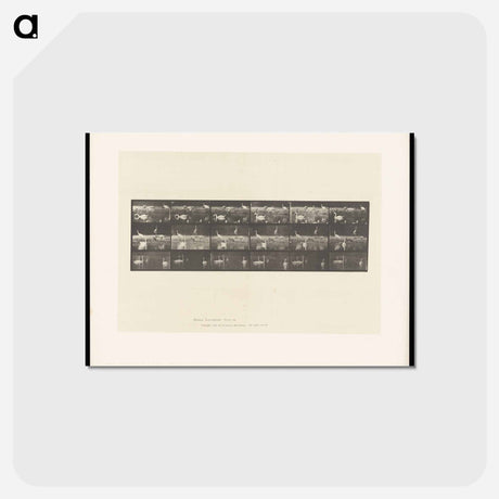 アートポストカード-Swans and Storks
 - エドワード マイブリッジ Postcard.
