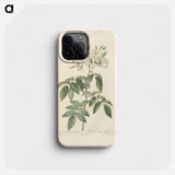 Rose illustration - Pierre Joseph Redouté Phone Case.