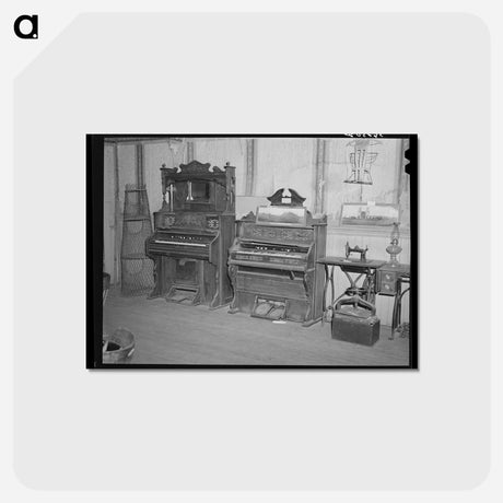 アートポストカード-Bird Cage Relics
 - ラッセル リー Postcard.