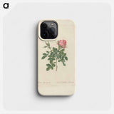 Rose illustration - ピエール ジョゼフ ルドゥーテ Phone Case.