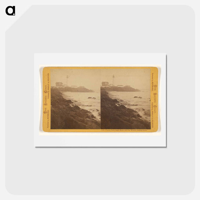 アートポストカード-Pigeon Pt., Light House and Fog Whistle
 - エドワード マイブリッジ Postcard.