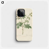 Rose illustration - Pierre Joseph Redouté Phone Case.