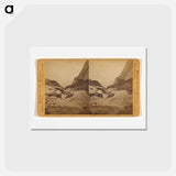 アートポストカード-Falls of the Yosemite, Base of the First Fall
 - エドワード マイブリッジ Postcard.