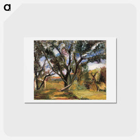 アートポストカード-The Olive Tree - アンリ マティス Postcard.