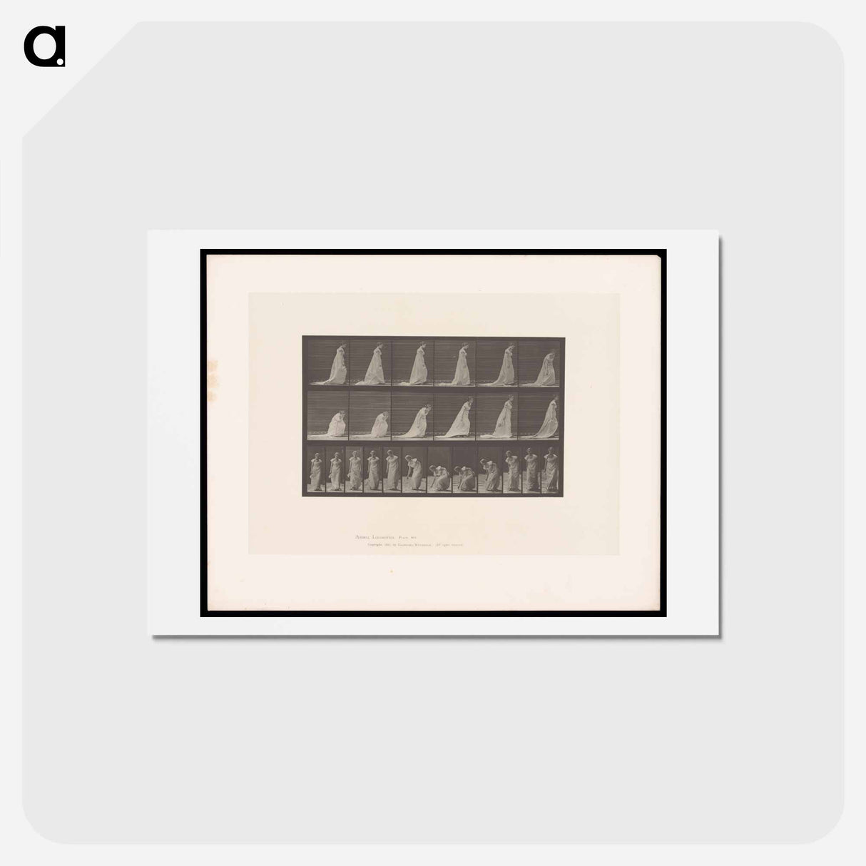 アートポストカード-Woman Lifting Handkerchief
 - エドワード マイブリッジ Postcard.