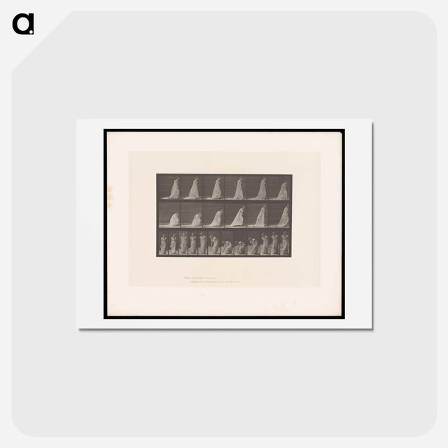 アートポストカード-Woman Lifting Handkerchief
 - エドワード マイブリッジ Postcard.
