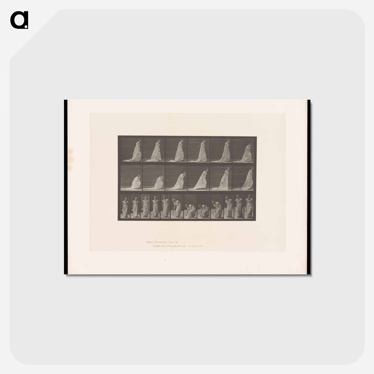アートポストカード-Woman Lifting Handkerchief
 - エドワード マイブリッジ Postcard.