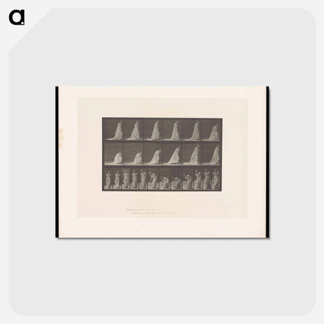 アートポストカード-Woman Lifting Handkerchief
 - エドワード マイブリッジ Postcard.