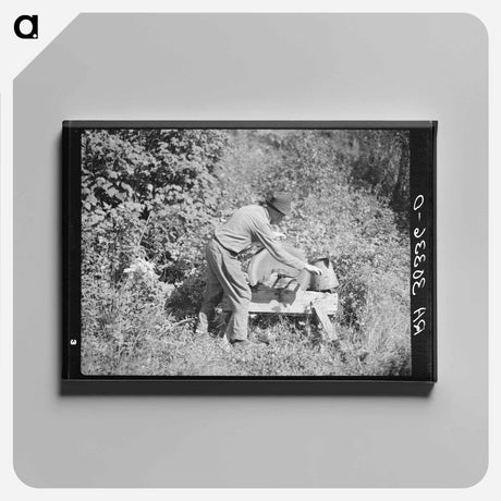 アートパネル-May's Avenue Family
 - ラッセル リー Canvas.
