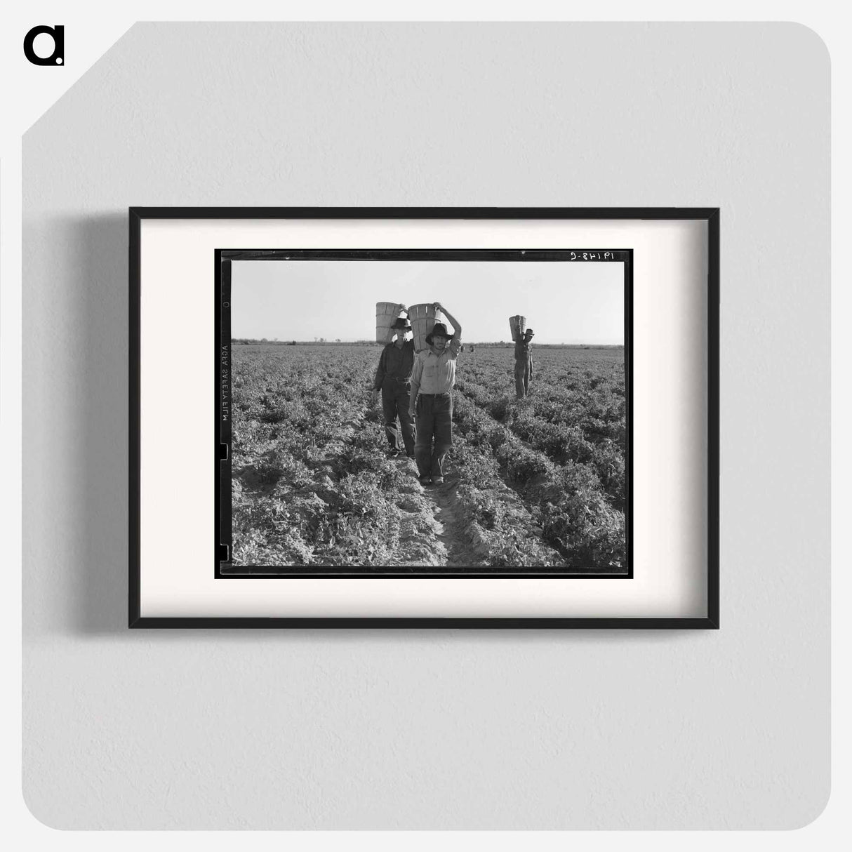 End of the day. Near Calipatria, California. Pea pickers. - Dorothea Lange Poster.