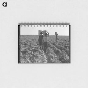 アートメモ帳-End of the day. Near Calipatria, California. Pea pickers. - ドロテア ラング Memo.