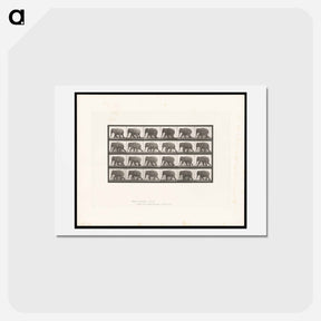 アートポストカード-Elephant Walking
 - エドワード マイブリッジ Postcard.