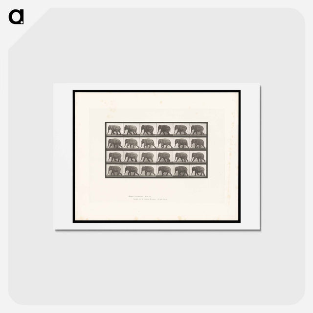 アートポストカード-Elephant Walking
 - エドワード マイブリッジ Postcard.