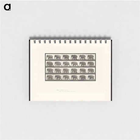 アートメモ帳-Elephant Walking
 - エドワード マイブリッジ Memo.