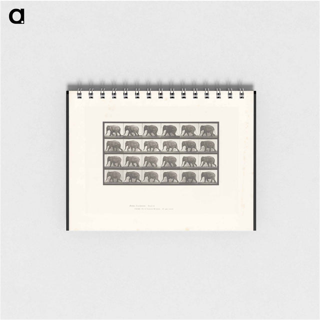 アートメモ帳-Elephant Walking
 - エドワード マイブリッジ Memo.