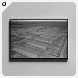 アートパネル-White Migrant Camp
 - ラッセル リー Canvas.