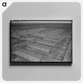 アートパネル-White Migrant Camp
 - ラッセル リー Canvas.