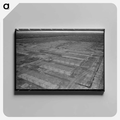 アートパネル-White Migrant Camp
 - ラッセル リー Canvas.