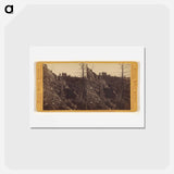 アートポストカード-View from Cape Horn, looking East
 - エドワード マイブリッジ Postcard.