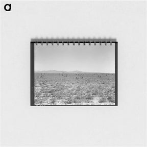 アートメモ帳-500 Pea Pickers in Field of Large-Scale Sinclair Ranch - ドロテア ラング Memo.