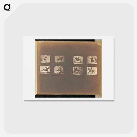アートポストカード-Trotting
 - エドワード マイブリッジ Postcard.
