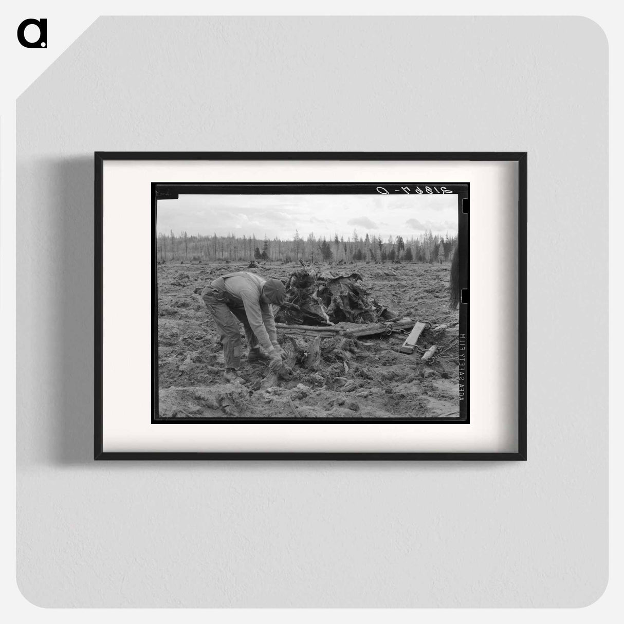 Ex-lumber mill worker clears eight-acre field after has pulled stumps. Boundary stumps. Boundary County, Idaho. - Dorothea Lange Poster.