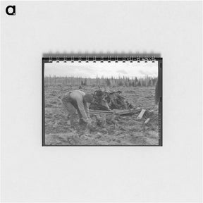 アートメモ帳-Ex-lumber mill worker clears eight-acre field after has pulled stumps. Boundary stumps. Boundary County, Idaho. - ドロテア ラング Memo.