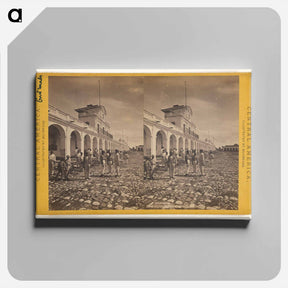 アートパネル-Palace of Government, Guatemala
 - エドワード マイブリッジ Canvas.