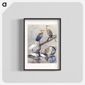 アートポスター-Herons
 - ボストン公共図書館 Poster.