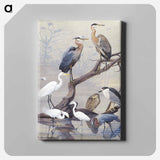 アートパネル-Herons
 - ボストン公共図書館 Canvas.