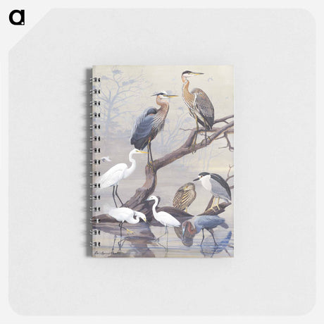 アートメモ帳-Herons
 - ボストン公共図書館 Memo.