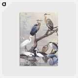 アートポストカード-Herons
 - ボストン公共図書館 Postcard.