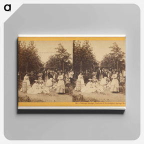 アートパネル-Calistoga Springs, Gardens of Hot Sulphur Springs Hotel
 - エドワード マイブリッジ Canvas.