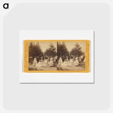 アートポストカード-Calistoga Springs, Gardens of Hot Sulphur Springs Hotel
 - エドワード マイブリッジ Postcard.