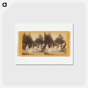 アートポストカード-Calistoga Springs, Gardens of Hot Sulphur Springs Hotel
 - エドワード マイブリッジ Postcard.