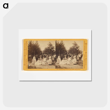 アートポストカード-Calistoga Springs, Gardens of Hot Sulphur Springs Hotel
 - エドワード マイブリッジ Postcard.