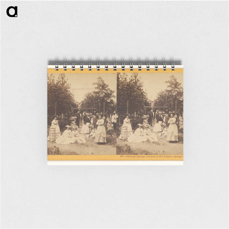アートメモ帳-Calistoga Springs, Gardens of Hot Sulphur Springs Hotel
 - エドワード マイブリッジ Memo.