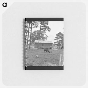 アートメモ帳-Sharecropper House - ドロテア ラング Memo.