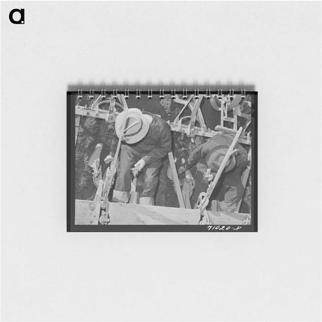 アートメモ帳-Wheat Shipment
 - ラッセル リー Memo.