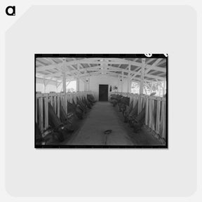 アートポストカード-Milking Time, Casa Grande Valley Farms
 - ラッセル リー Postcard.