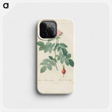 Rose illustration - Pierre Joseph Redouté Phone Case.