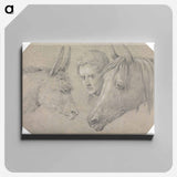 アートパネル-Head of a Stable Lad, Looking Between the Heads of a Horse, on His Left, and a Donkey, on His Right
 - イェール大学アートギャラリー Canvas.