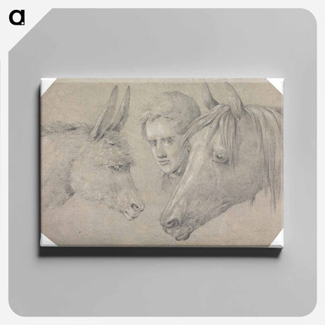 アートパネル-Head of a Stable Lad, Looking Between the Heads of a Horse, on His Left, and a Donkey, on His Right
 - イェール大学アートギャラリー Canvas.