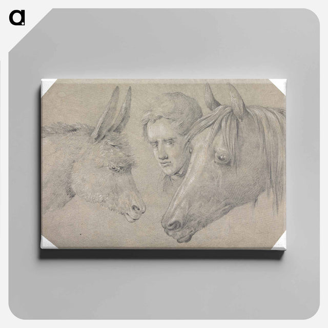 アートパネル-Head of a Stable Lad, Looking Between the Heads of a Horse, on His Left, and a Donkey, on His Right
 - イェール大学アートギャラリー Canvas.