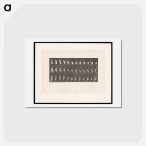アートポストカード-Booting Up
 - エドワード マイブリッジ Postcard.