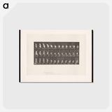 アートポストカード-Booting Up
 - エドワード マイブリッジ Postcard.