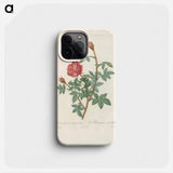 Rose illustration - Pierre Joseph Redouté Phone Case.