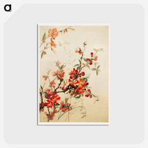 アートポストカード-Japan Quince Study
 - ボストン公共図書館 Postcard.