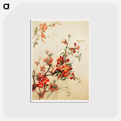 アートポストカード-Japan Quince Study
 - ボストン公共図書館 Postcard.